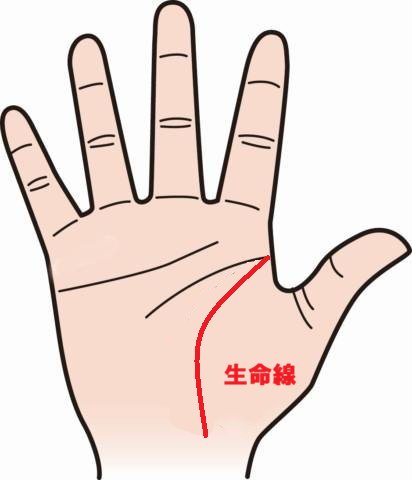 生命線が短い意味を正しく知ることで、将来への漠然とした恐怖が安心感へと変わる